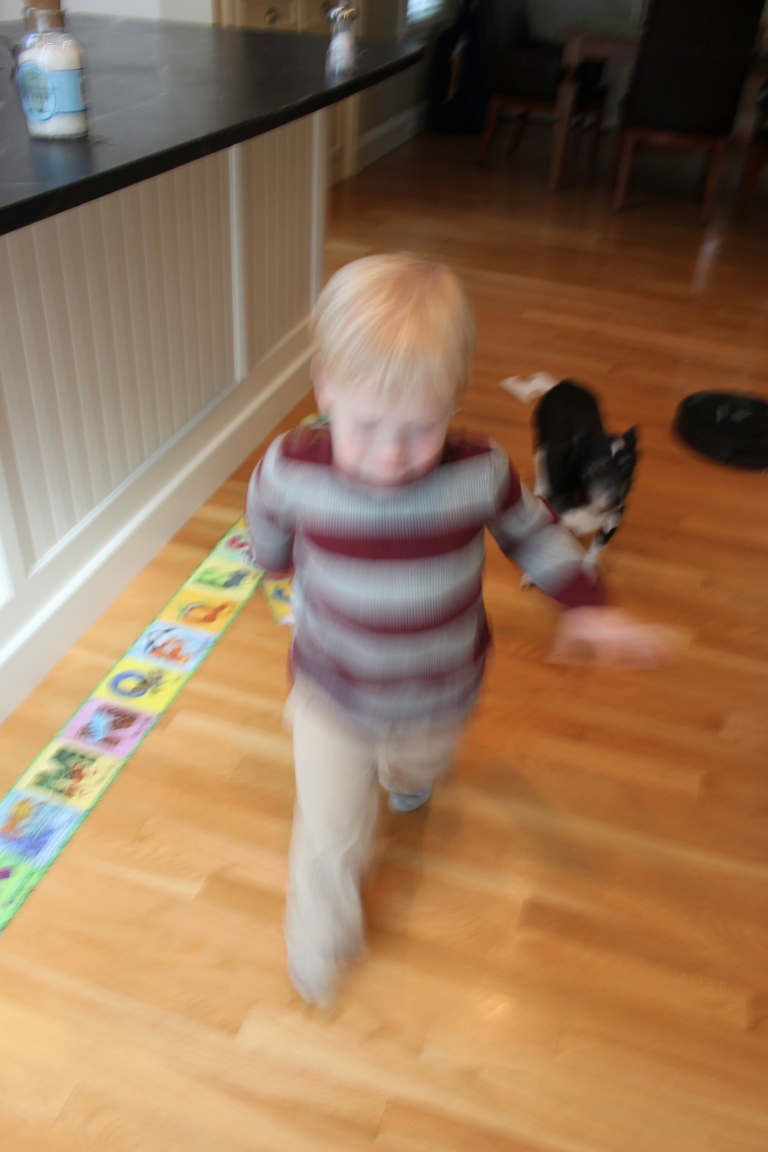 Fast subjects are a blur on the green auto setting