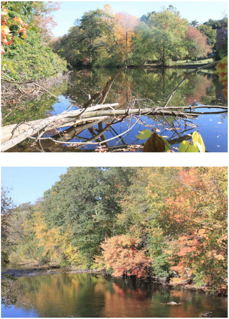 Shots taken in landscape mode
