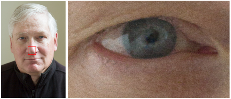 Head Shot taken with center focus point on the nose, soft focus on eye.