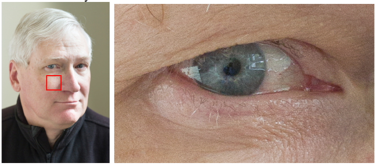  Frame filled with subject using focus and recompose technique, focus on eye is sharp, composition is strong.