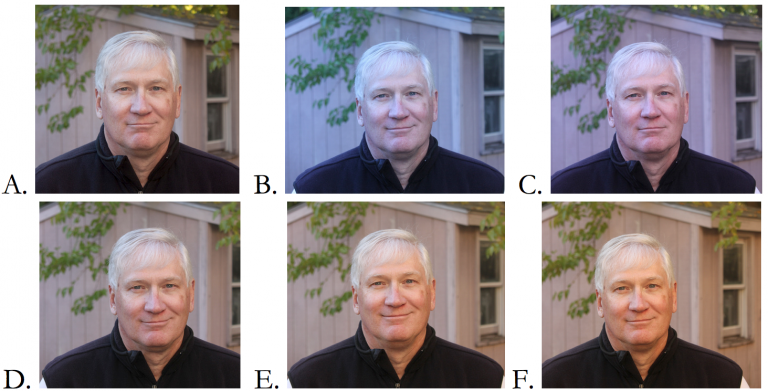 Different white balance presets. A. Auto White Balance. B. Tungsten. C. Florescent. D. Daylight. E. Cloudy. F. Shade.