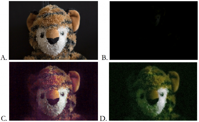 A. Correctly exposed in camera. B. Underexposed in camera. C. Attempted correction of RAW file. D. Attempted correction of JPEG.